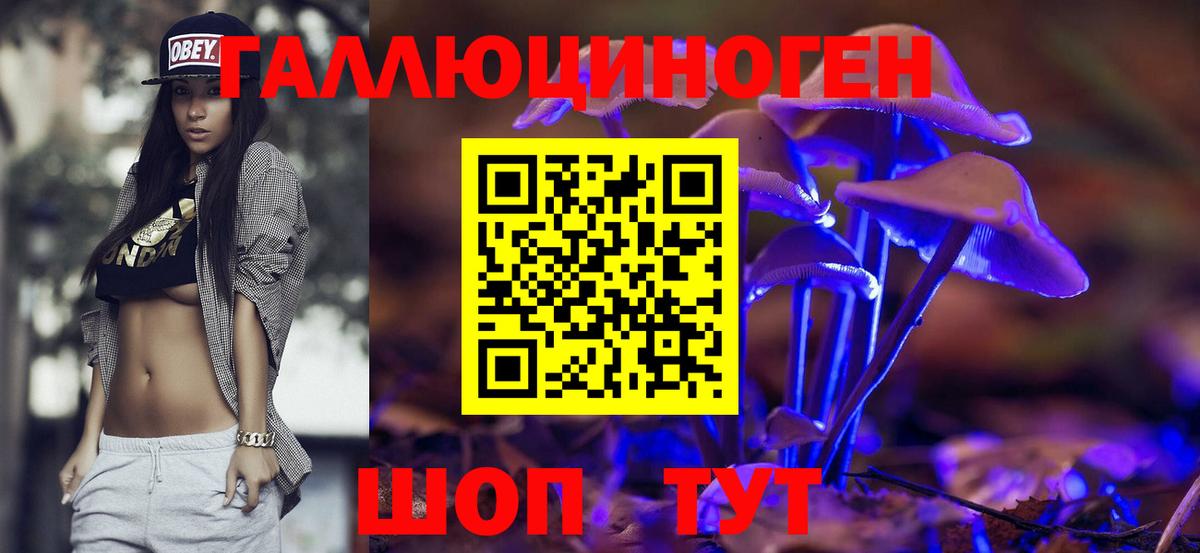 Псилоцибиновые грибы Psilocybe Гатчина